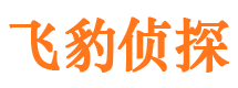 桃源外遇出轨调查取证